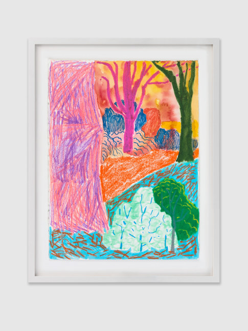 Drawing by Shara Hughes