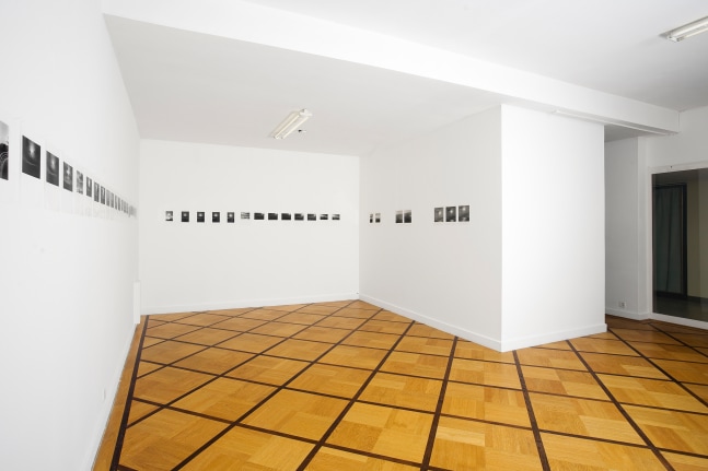Installation view of wall works by Trisha Donnelly