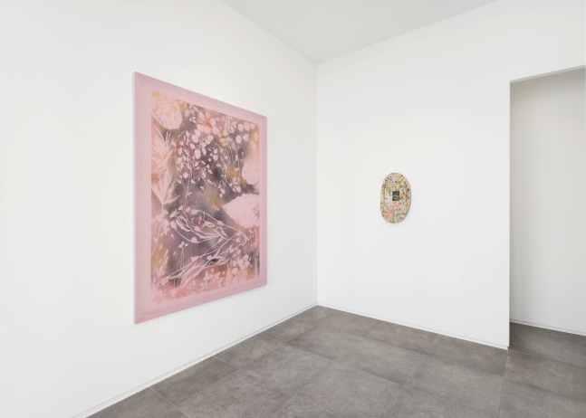 Installation view, Sam Falls, Galerie Eva Presenhuber x P21, Seoul, 2024