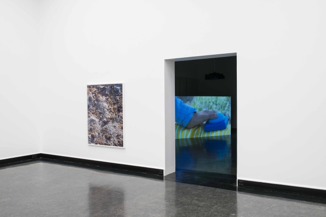 Installation view of photographs by Torbjørn Rødland
