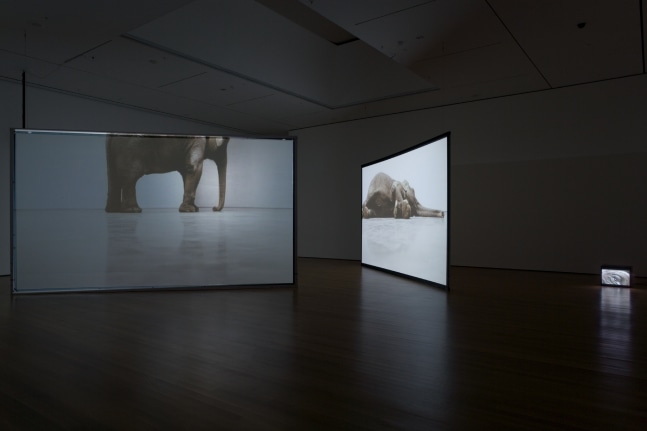 Installation view of video installation by Douglas Gordon