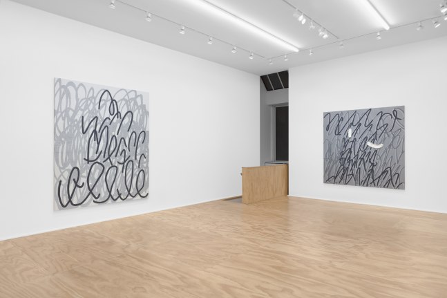 Installation view of paintings by Amy Feldman