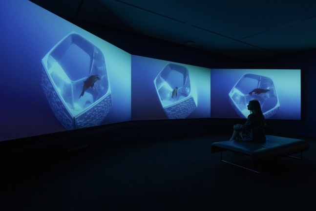 Installation view of works by Doug Aitken