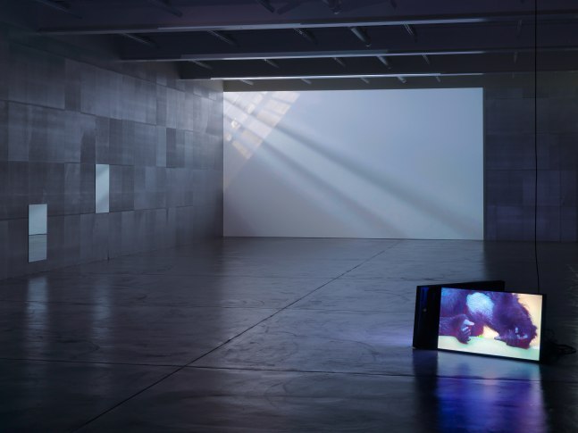 Installation view of Douglas Gordon film and installation exhibition