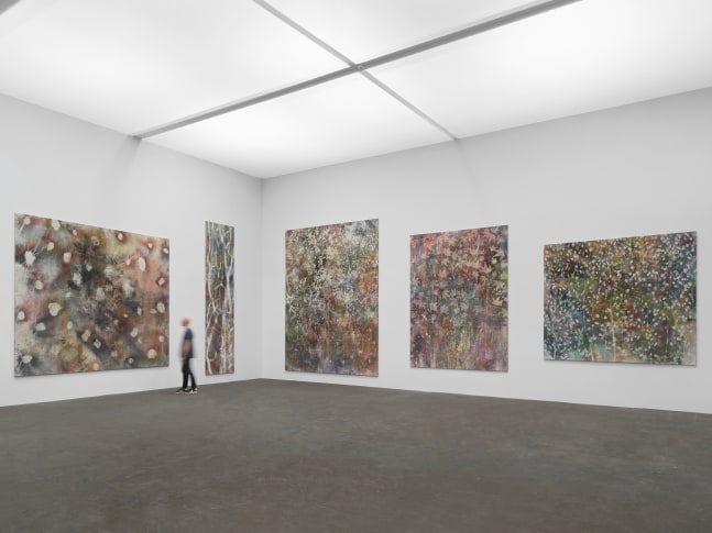 Installation view of paintings by Sam Falls