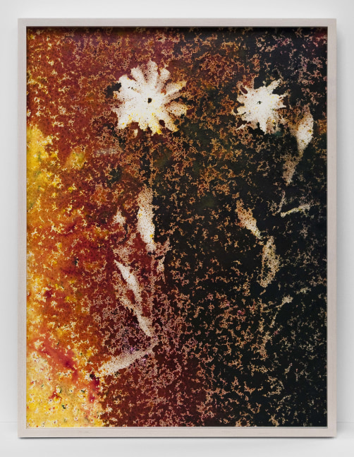 Painting by Sam Falls