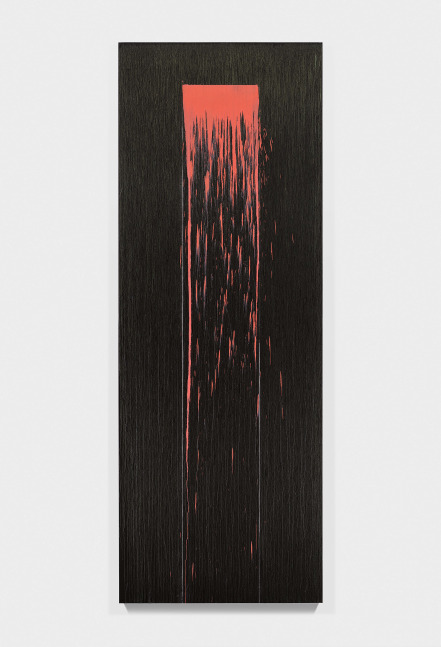 Painting by Pat Steir