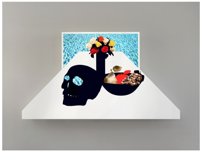 STILL LIFE WITH SKULL (NATURE MORTE AU CRANE)

2019

Chromogenic transparency on acrylic in aluminum lightbox with LEDs

Edition of&amp;nbsp;4 + 2 AP

152 x 274.5 x 12.5 cm / 59 3/4 x 108 x 5 inches

225&amp;#39;000 USD

Please inquire about availability&amp;nbsp;