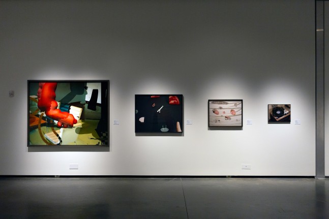 Installation view of Works by Lucas Blalock