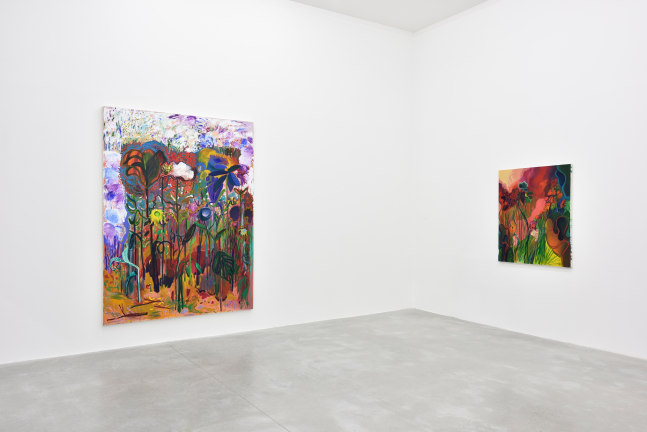 Installation view of Paintings by Shara Hughes