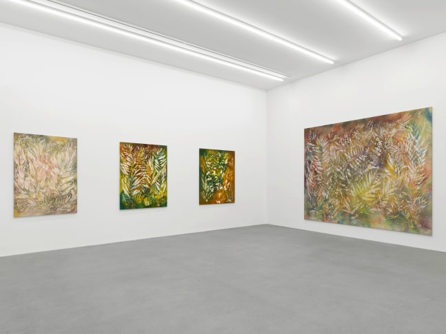 Installation view, Sam Falls, Galerie Eva Presenhuber, Waldmannstrasse, Zurich, 2025