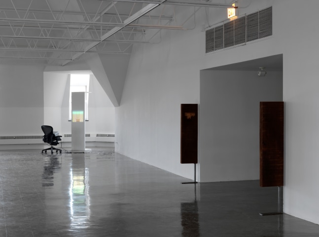 Installation view of works by Trisha Donnelly