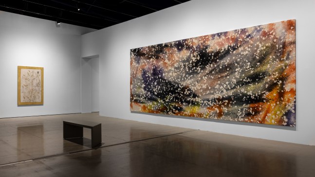 installation view sam falls cleveland