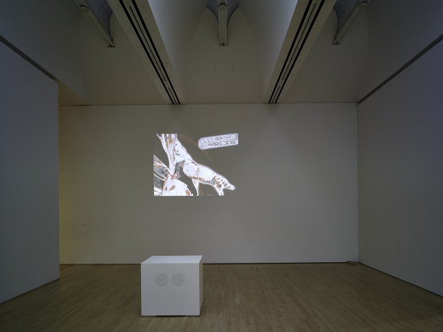 Installation view of works by Trisha Donnelly