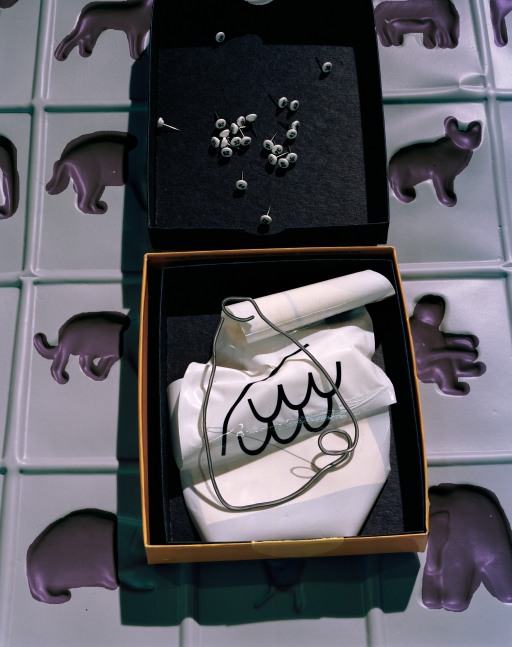 Photograph by Lucas Blalock, After Animals 2 2019 Archival inkjet print; framed 197.5 x 157.5 x 6.5 cm / 77 3/4 x 62 x 2 1/2 in