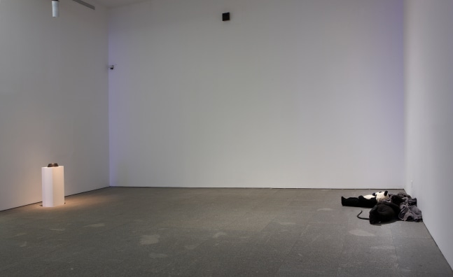 Installation view of sculpture by Peter Fischli and David Weiss