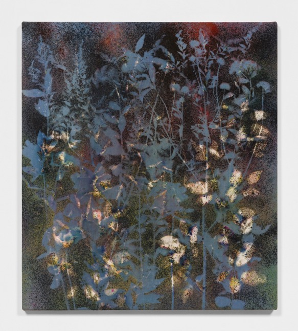 painting by Sam Falls