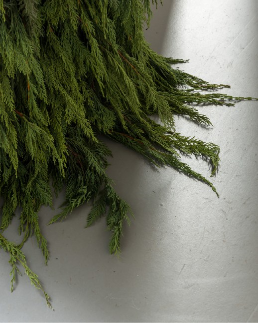 Installation view, Trisha Donnelly, MMK, Frankfurt, 2025