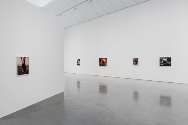 Installation view, Torbj&amp;oslash;rn R&amp;oslash;dland, Songs for the Sun, Yuz Museum, Shanghai, 2025