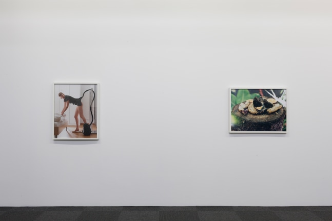 Installation view of photographs by Torbjørn Rødland