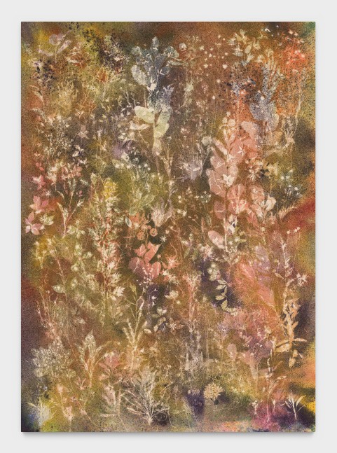 The Pain of Being Pure at Heart

2025

Pigment on canvas

269 x 193 cm / 106 x 76 in

&amp;copy; Sam Falls