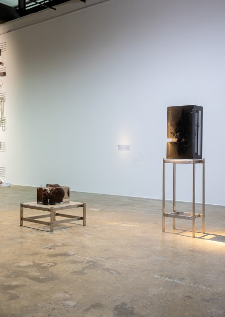 Installation view, Matthew Angelo Harrison, 15th Gwangju Biennale Gwangju, 2024