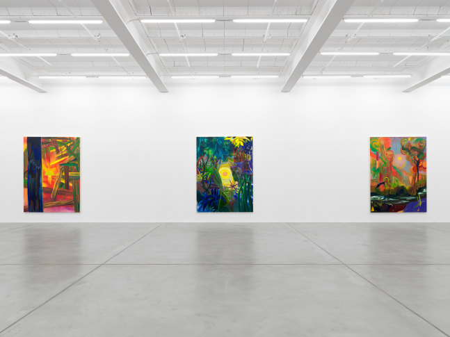 Installation view of Shara Hughes paintings