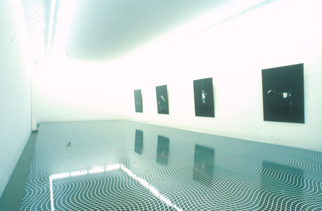 Installation view of paintings by Ugo Rondinone