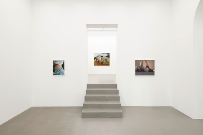 Installation view, Torbj&amp;oslash;rn R&amp;oslash;dland, Slow Life Strategies, Galerie Eva Presenhuber, Vienna, 2025