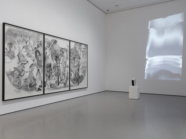 Installation view of video by Trisha Donnelly and works of other artists