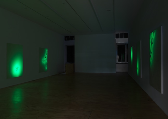 Installation view of paintings by Koo Jeong A