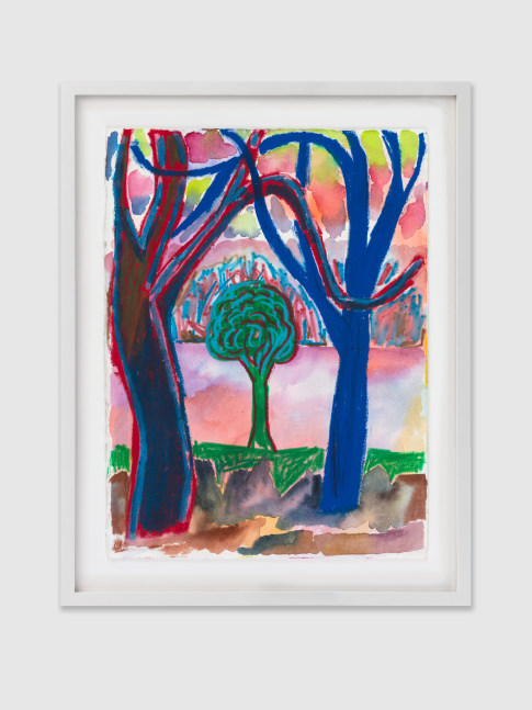 Drawing by Shara Hughes