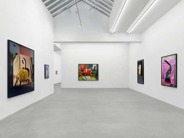 installation view of Lucas Blalock