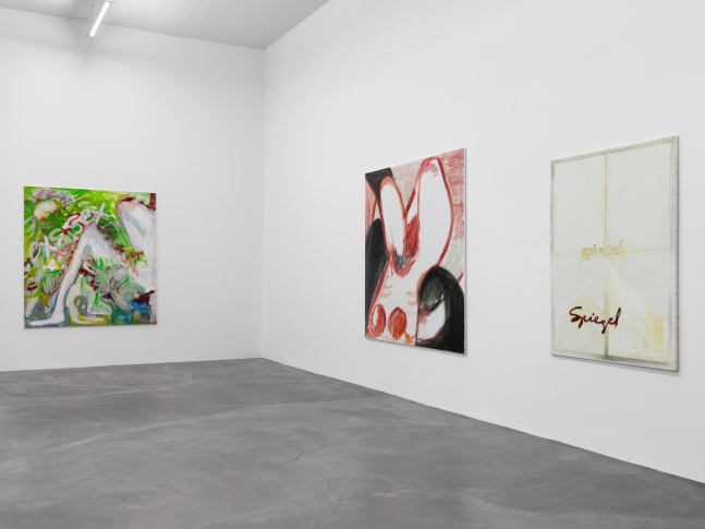 Installation view of Tamuna Sirbiladze paintings exhibition