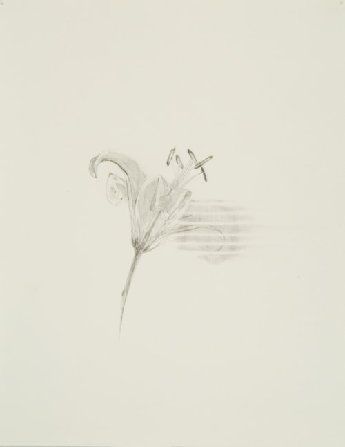 Drawing by Trisha Donnelly