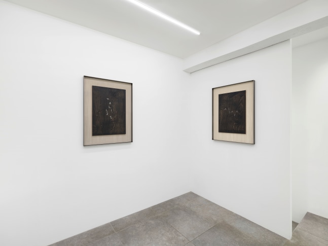 Installation view, Martin Boyce, Celestial Snowdrops, Galerie Eva Presenhuber x P21, Seoul, 2024