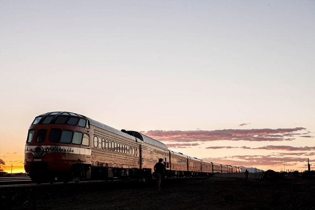 Installation view of living art installation by Doug Aitken