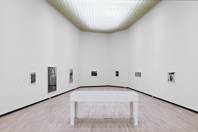 Installation view of photographs by Torbjørn Rødland