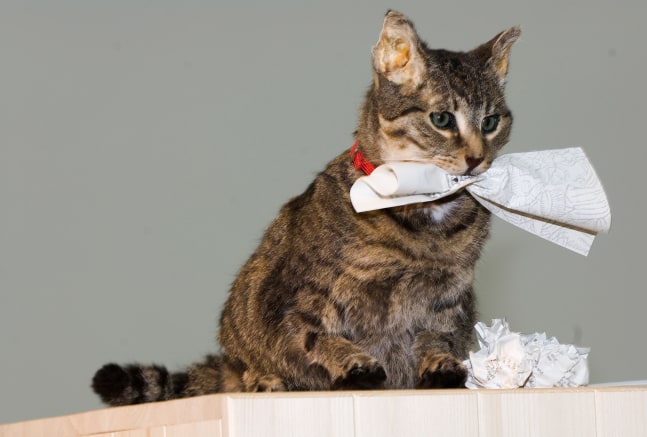 Installation view of sculptures by Liam Gillick