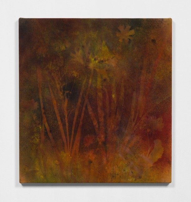 MOUNT TAMALPAIS WINDMILLS
2020
Pigment on canvas
72 x 66.5 x 3 cm / 28 3/8 x 26 1/8 x 1 1/8 inches