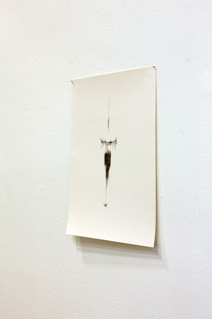 Installation view of works by Trisha Donnelly