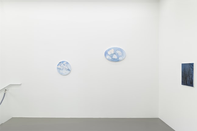 installation view of drawings and paintings by Karen Kilimnik