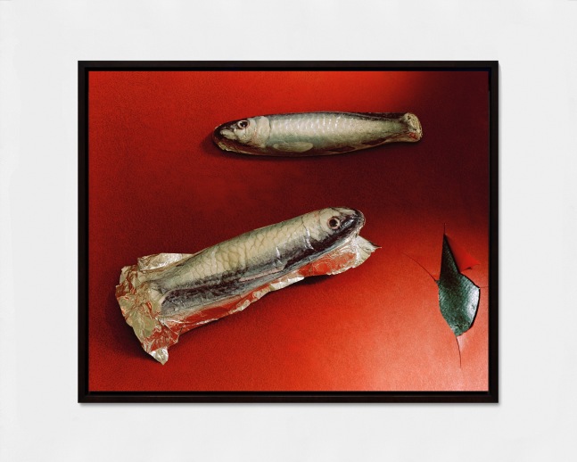 LUCAS BLALOCK  Sardines 2016 Archival inkjet print, framed  Ed. 2/3 + 2 AP Image 28.5 x 37 x 2 cm / 11 1/8 x 14 5/8 x 3/4 in  BLALO46504