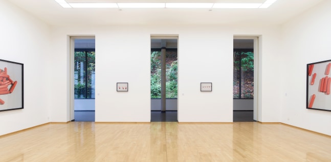 Installation view of Works by Lucas Blalock