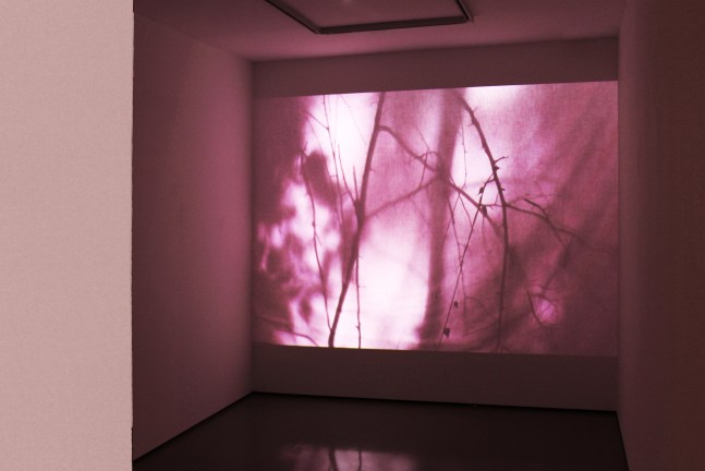 Installation view of video work by Sam Falls