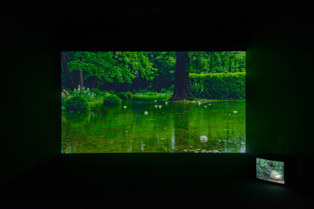 Installation view of video work by Douglas Gordon