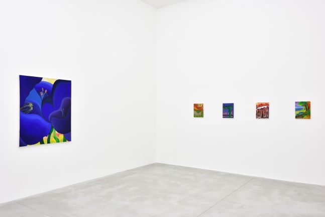 Installation view of Paintings by Shara Hughes
