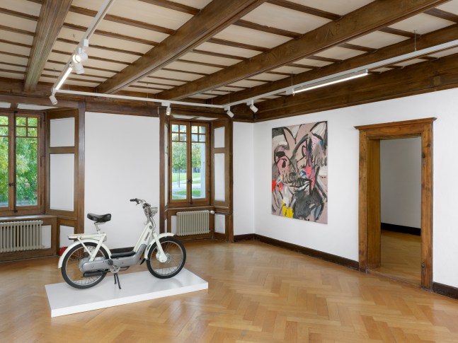 Installation views, Valentin Carron, Learning from Martigny, Le Manoir de la Ville de Martigny, 2024