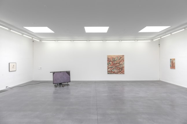 Installation view, Chemu Ng&amp;#39;Ok,&amp;nbsp;The &amp;#39;t&amp;#39; is Silent, Museum Dhont-Dhaenens, Deurle, 2022