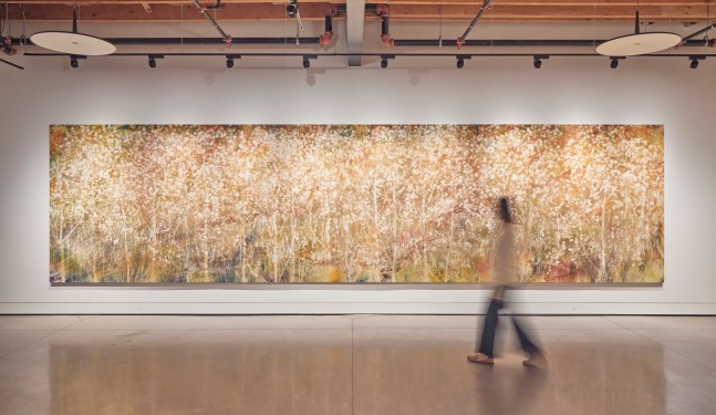 Installation view, Sam Falls, Nothing Without Nature, Cookie Factory, Denver, 2025